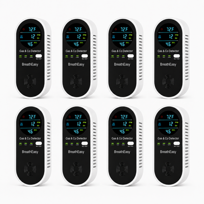 CO & Gas Detector 1 Unit
